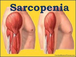 sarcopenia2