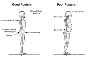 posture